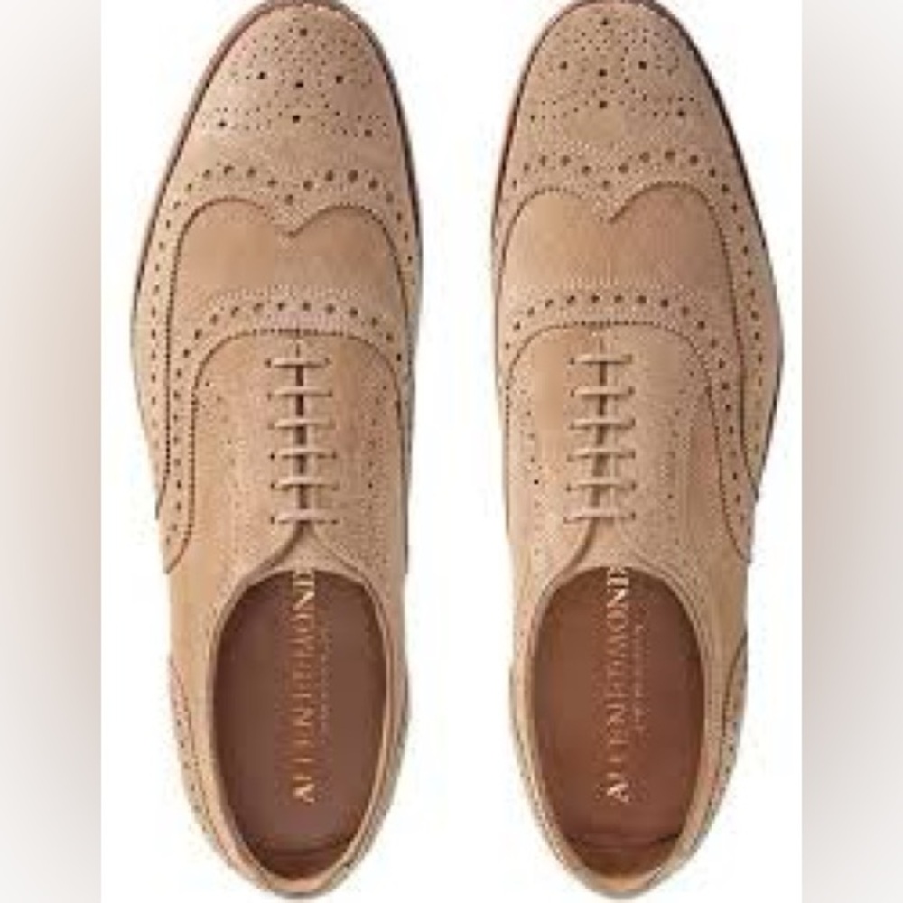 Allen Edmonds Neumok Suede Wingtip Oxford Size 8.5 - image 5
